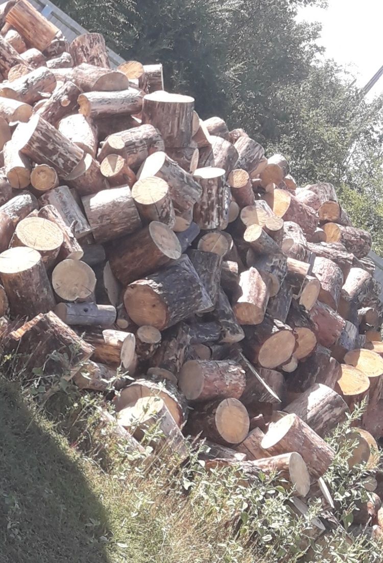 Дрова сосна чурками