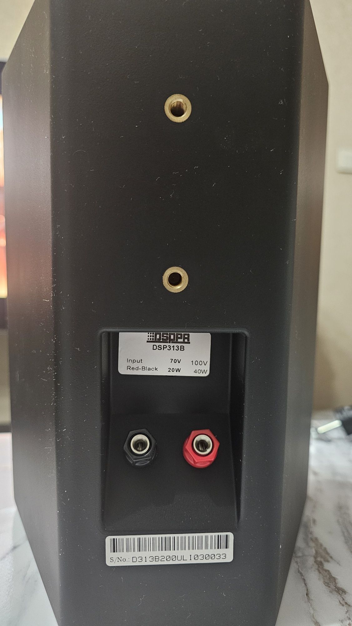 Акустическая система DSPPA WL313B