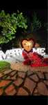 Оформление Marry me Happy birthday