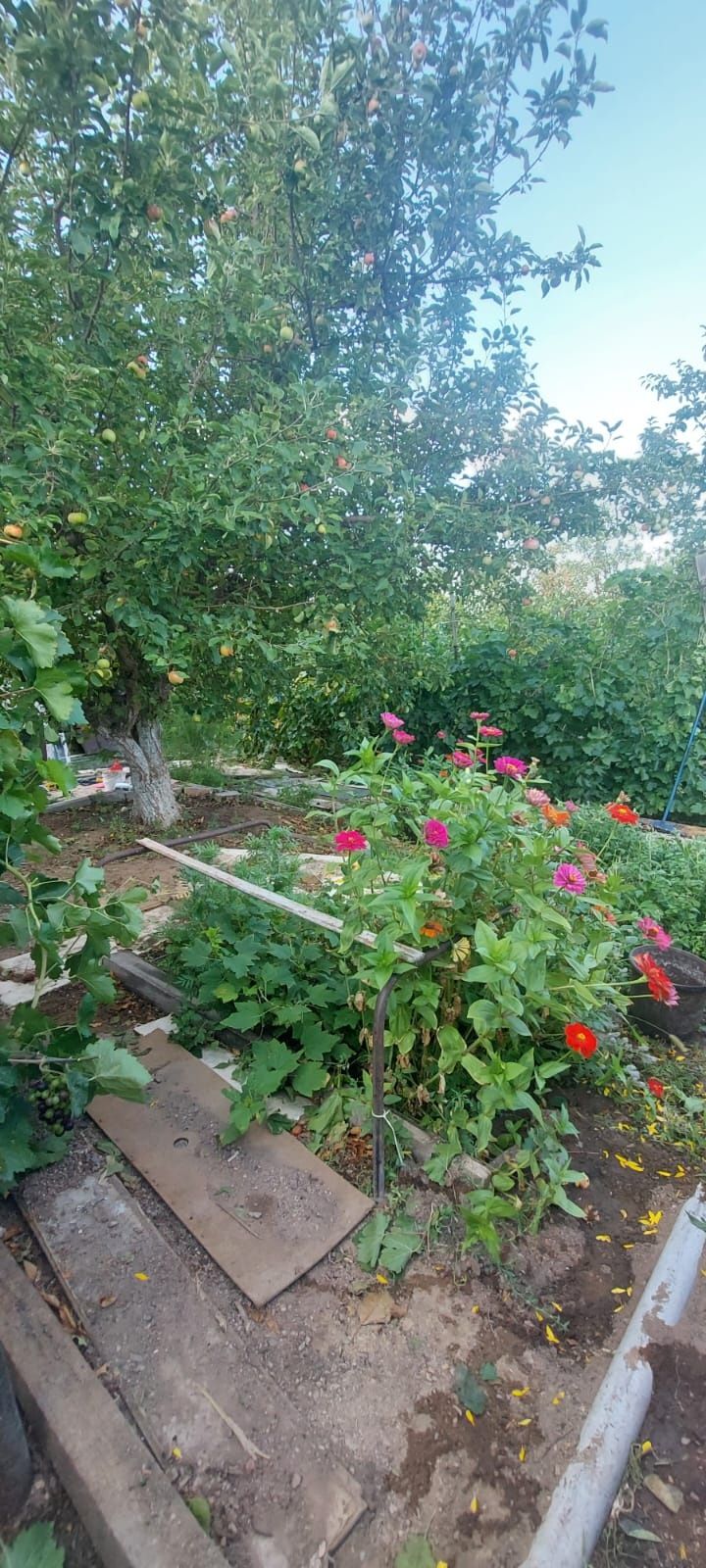 Продам дачу 15 соток