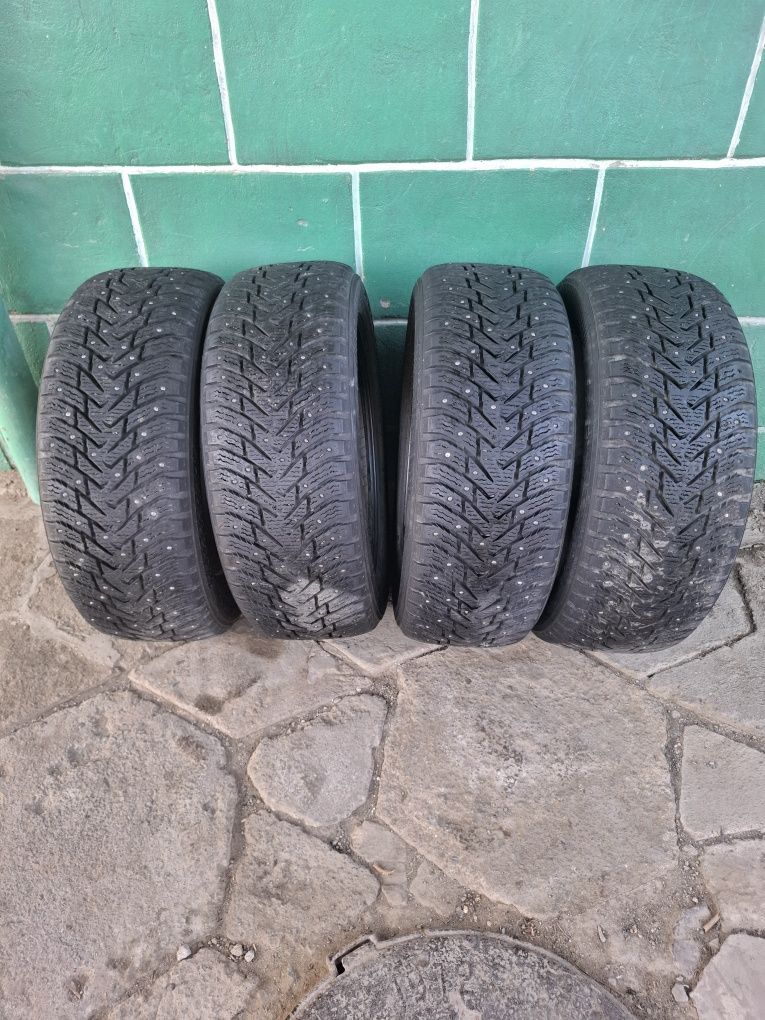 Nokian Hakkapeliitta
