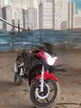 Racer Skyway 300