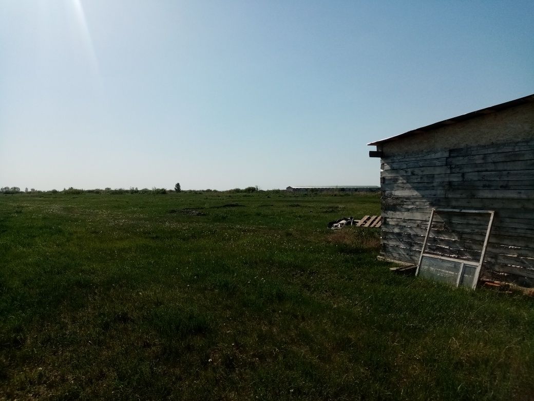 продам или обменяю  на машину крс мрс лошадей  земельный участок