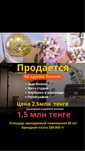 Срочноо ‼️‼️‼️ Бизнес 4 в 1 сатылады