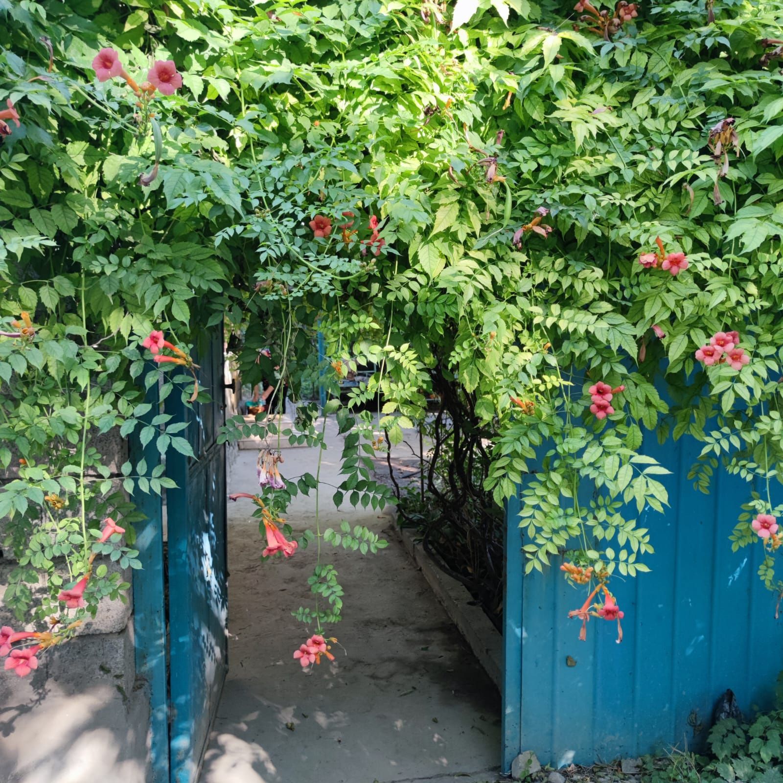Продам отличную дачу