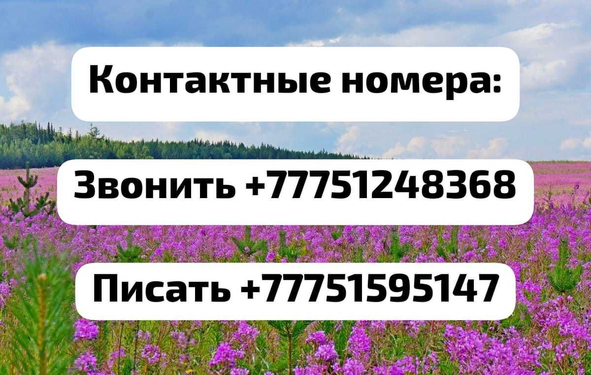 Сдаётся 2х комнатная дом
