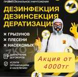 Акция от 4000тг! Дезинфекция,Дезинсекция,Дератизация,Дизенфекция