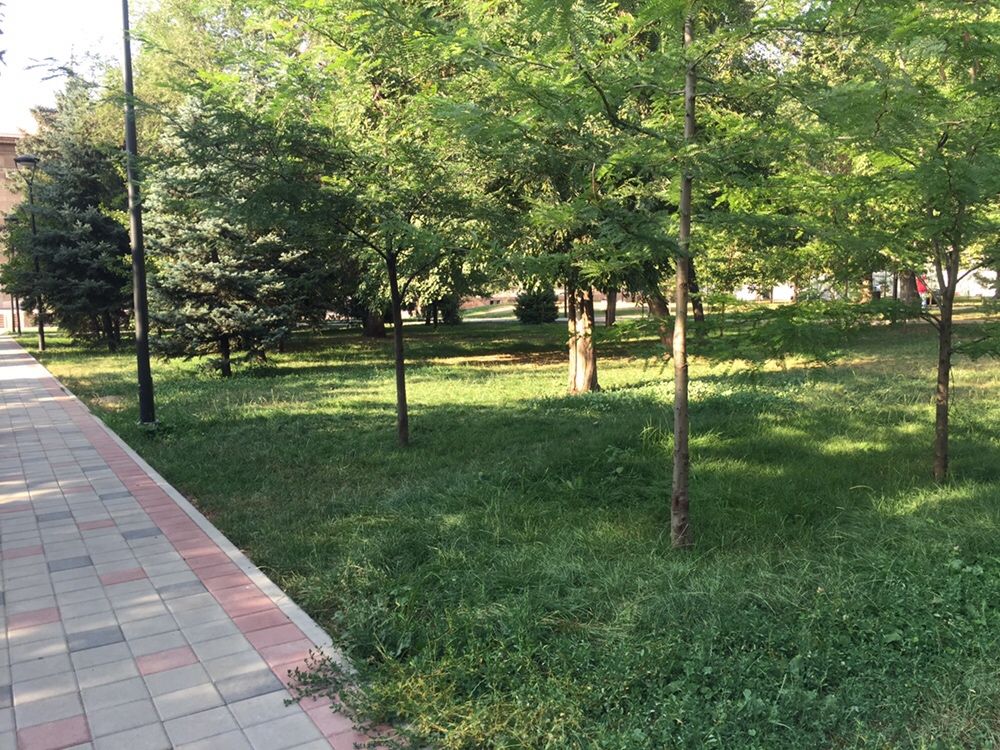 Шикарная 3-х комнатная квартира в центре, ТЮЗ, Панфилова-Маметовой