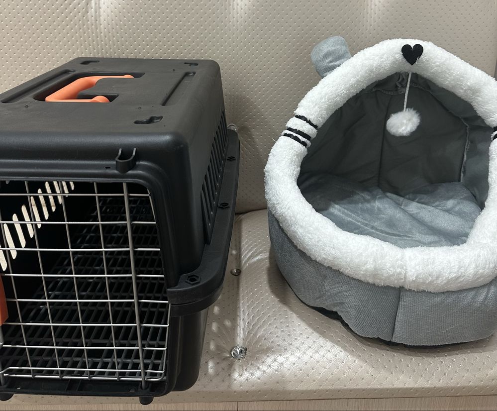Продам набор для кошки/котёнка — всё новое!