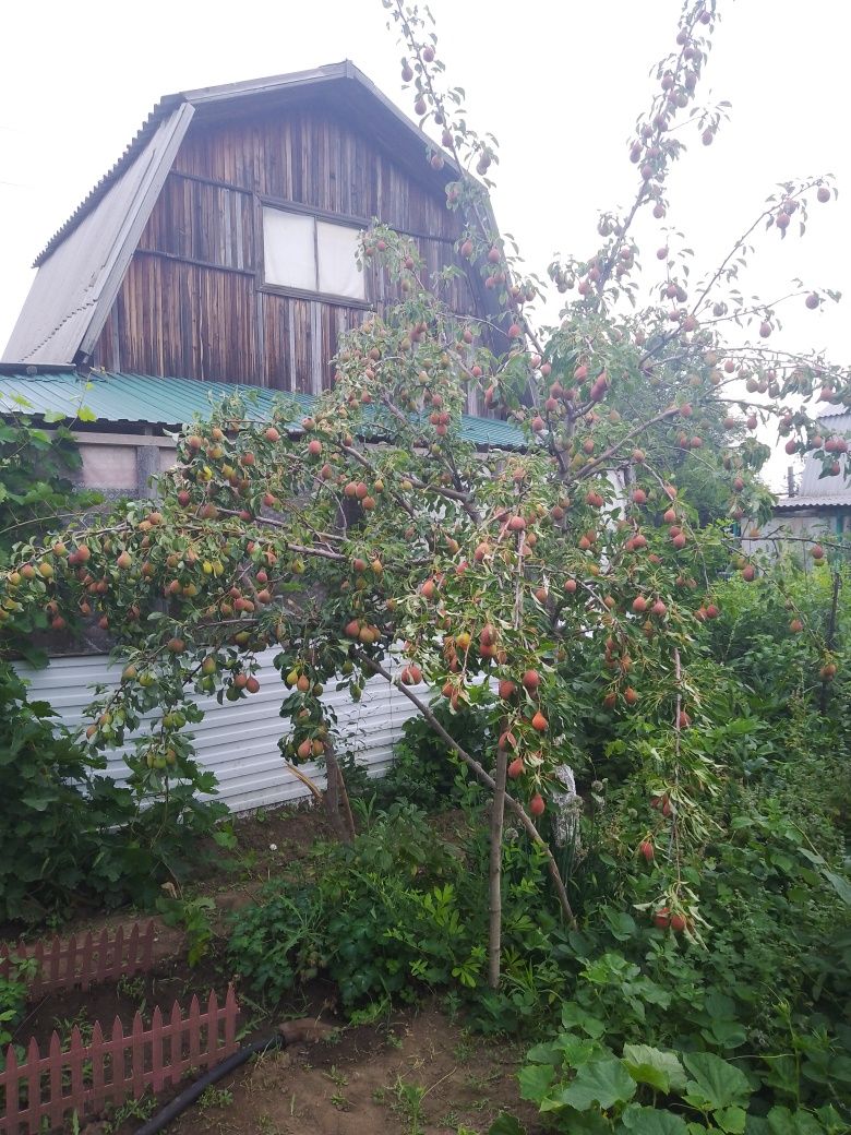 Продам дачу не затапливается