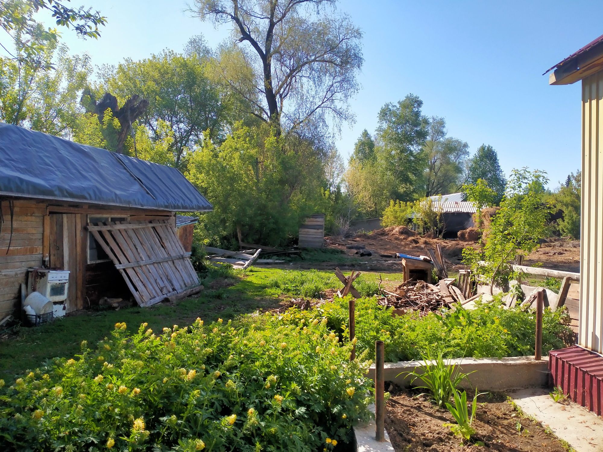 Продам крестьянское хозяйство, фазенда, усадьба. п. Белоусовка.