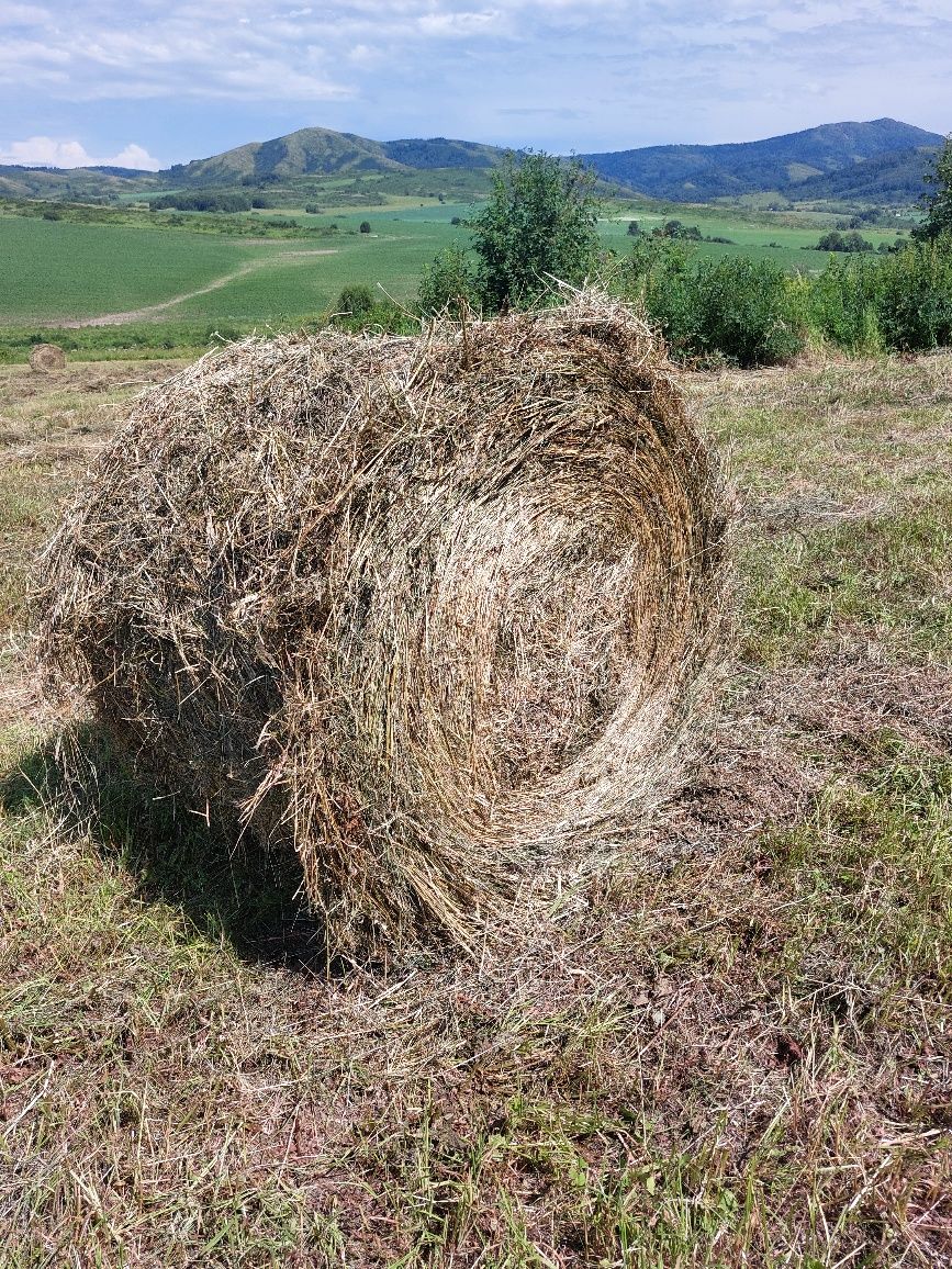 Продам сено 2025 года (разнотравье)