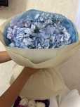 Продам цветы, гортензы, розы