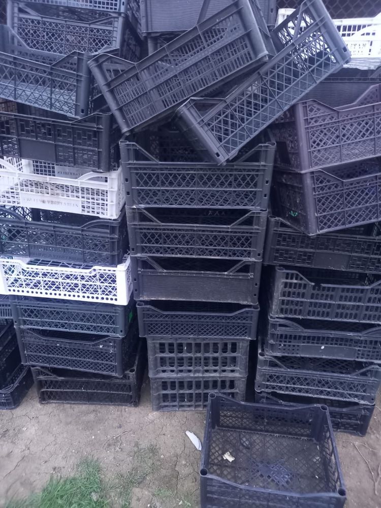 Продам пластиковые ящики