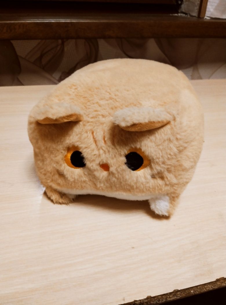 Котокуб кот куб квадратный