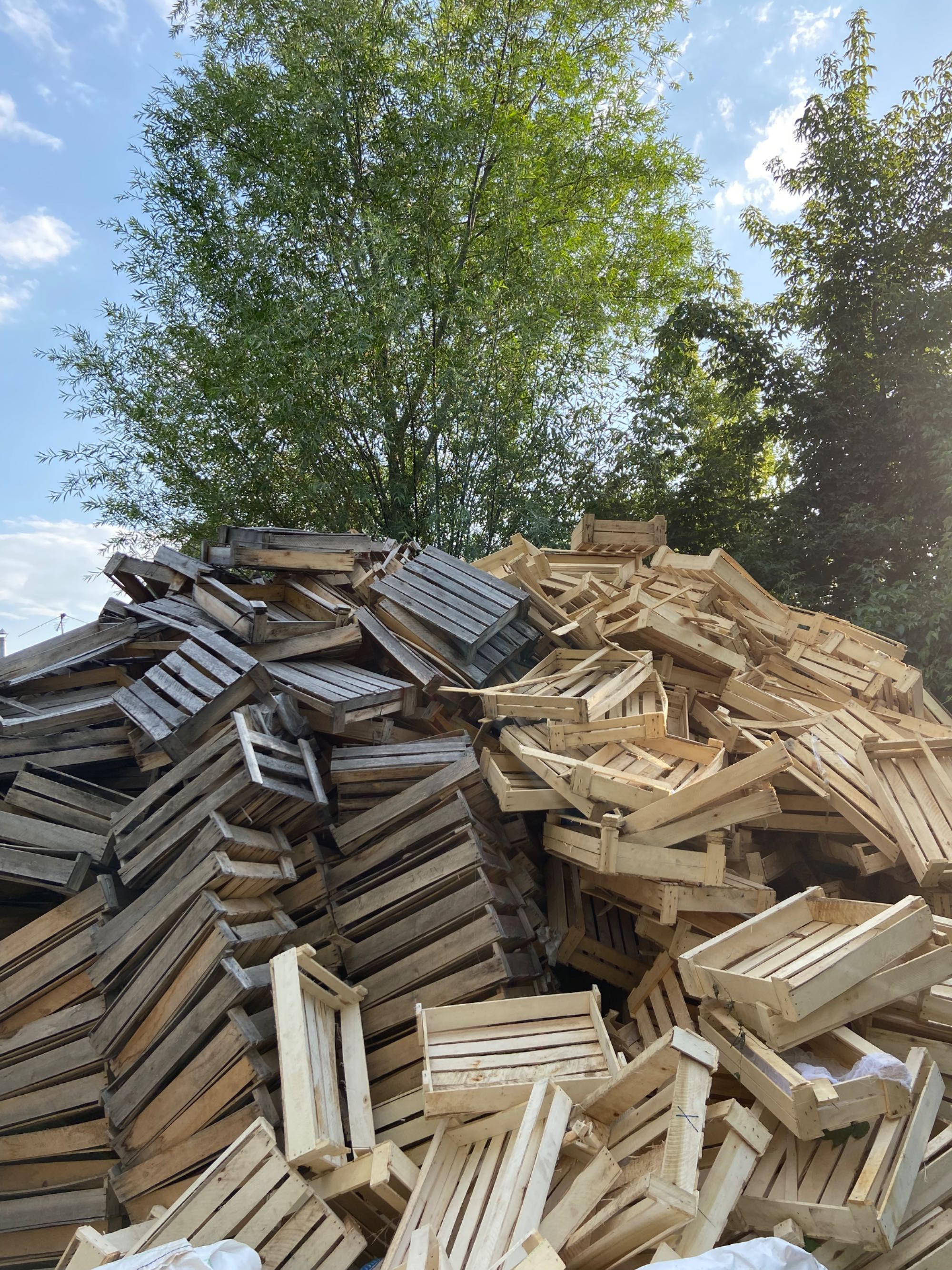 Ящики срочно продаю 55 тг штук