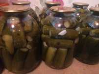 Продам солёные огурцы
