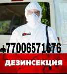 Дезинфекциия в Шымкенте