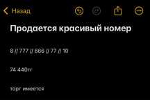 Красивый номер beeline