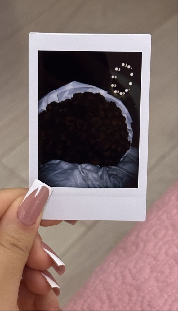 Filmg Instax 99 mini