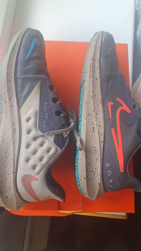 Кроссовки Nike  pegasus 39 shield