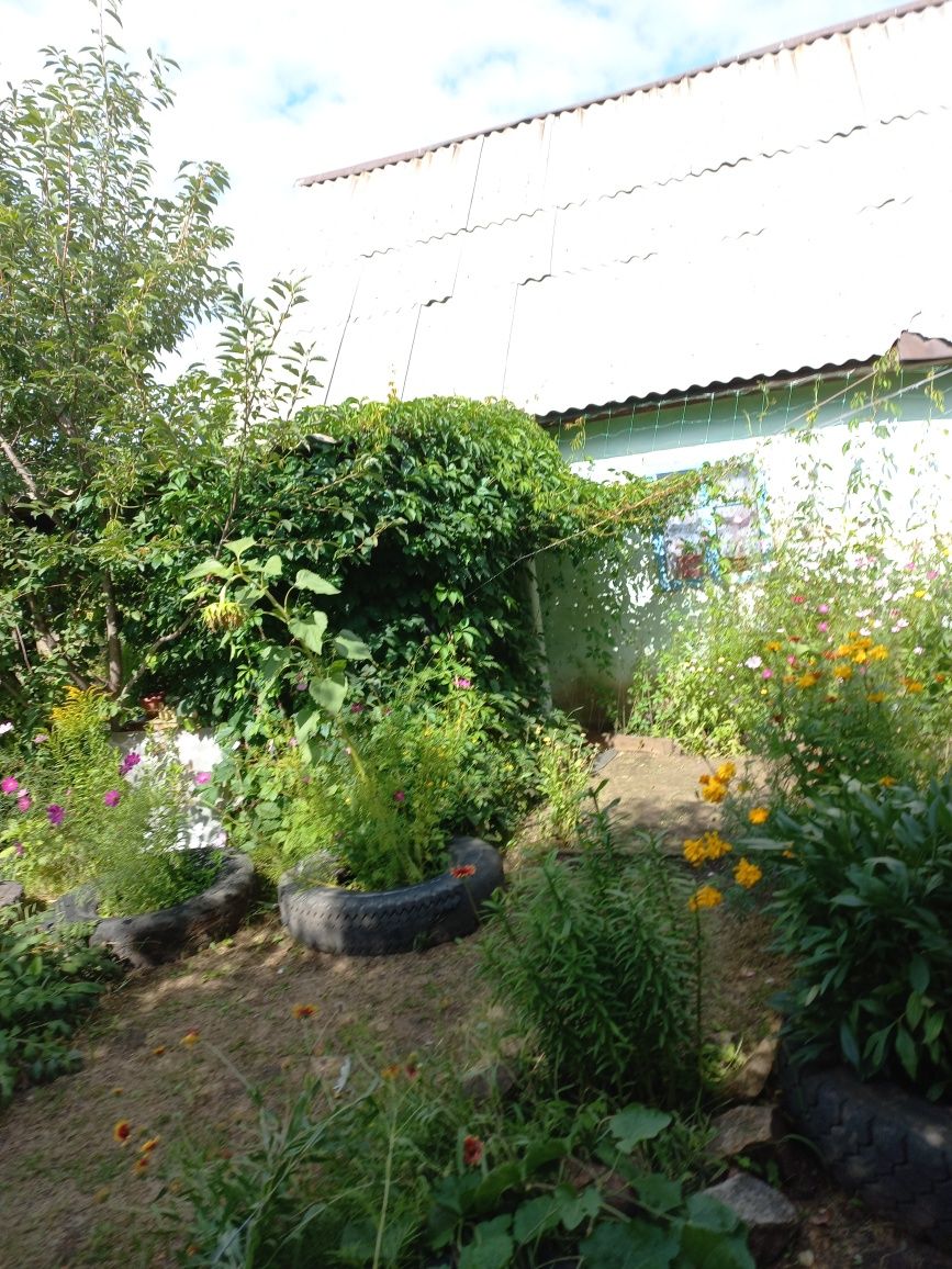Продам летнюю дачу.Садовое общество Кленок 1.