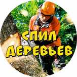 Спилим, кронируем деревья бензопила, автовышка, бригада опыт!
