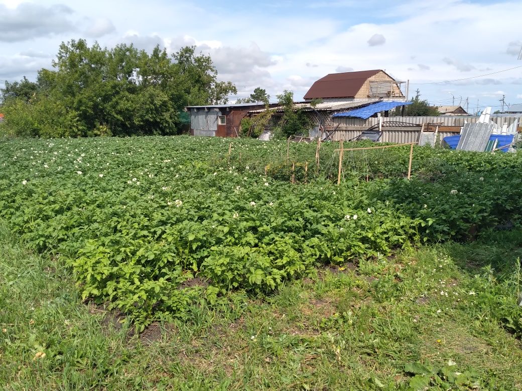 Продам дом большой шпальный.