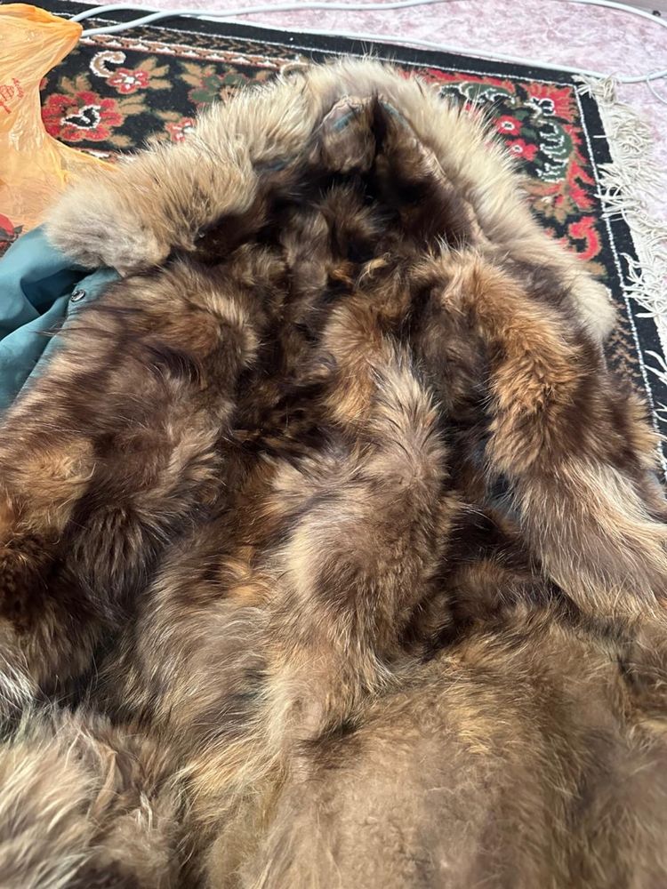 Парка зимний в хорошем состояний
