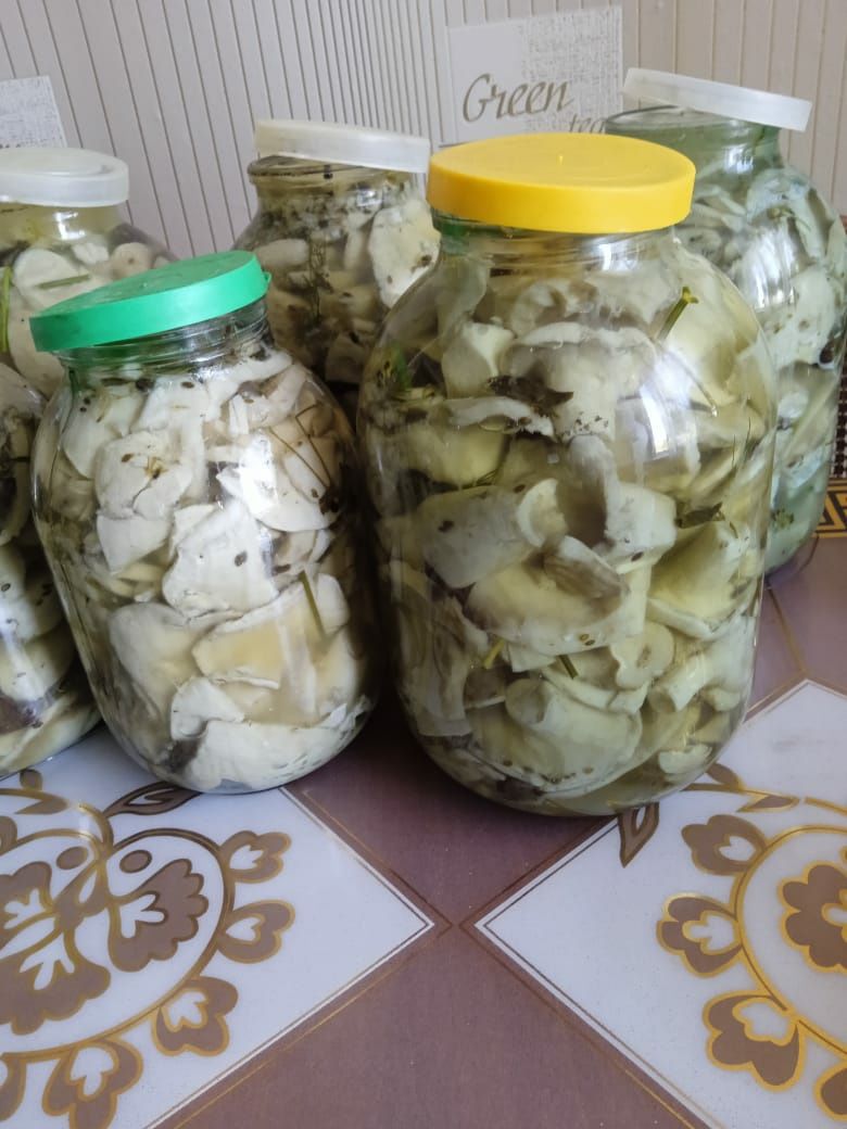 Продам солёные свежие грибы грузди