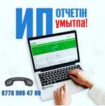 ИП отчет, Разовые услуги бухгалтера
