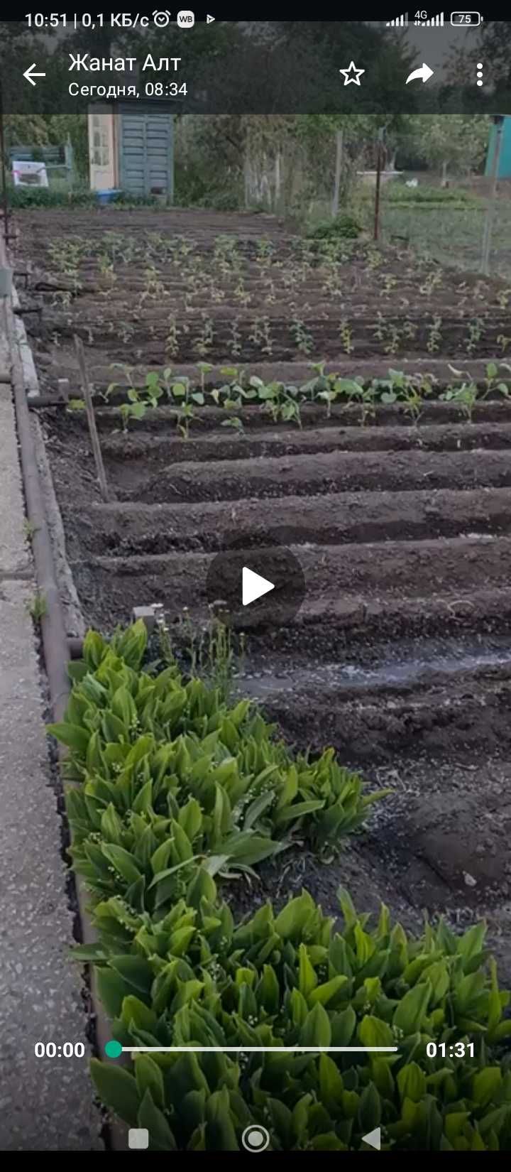 Продам дачу напротив гринленда