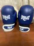 Боксерские перчатки EVERLAST