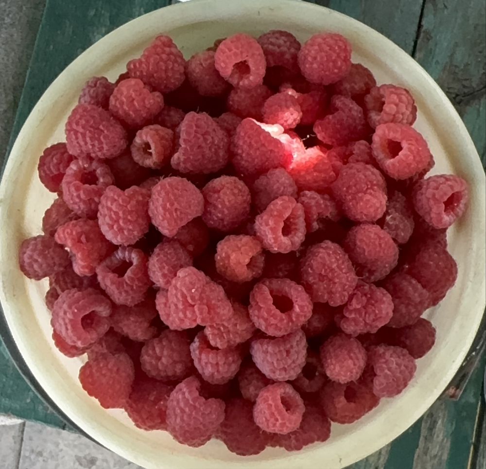 Малина (5л,3л,1л) только сегодня