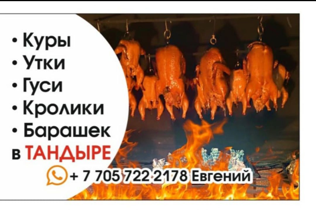 Барашек куры утки кролики рыба в  тандыре