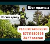 Покос травы(Шөп орамыз)