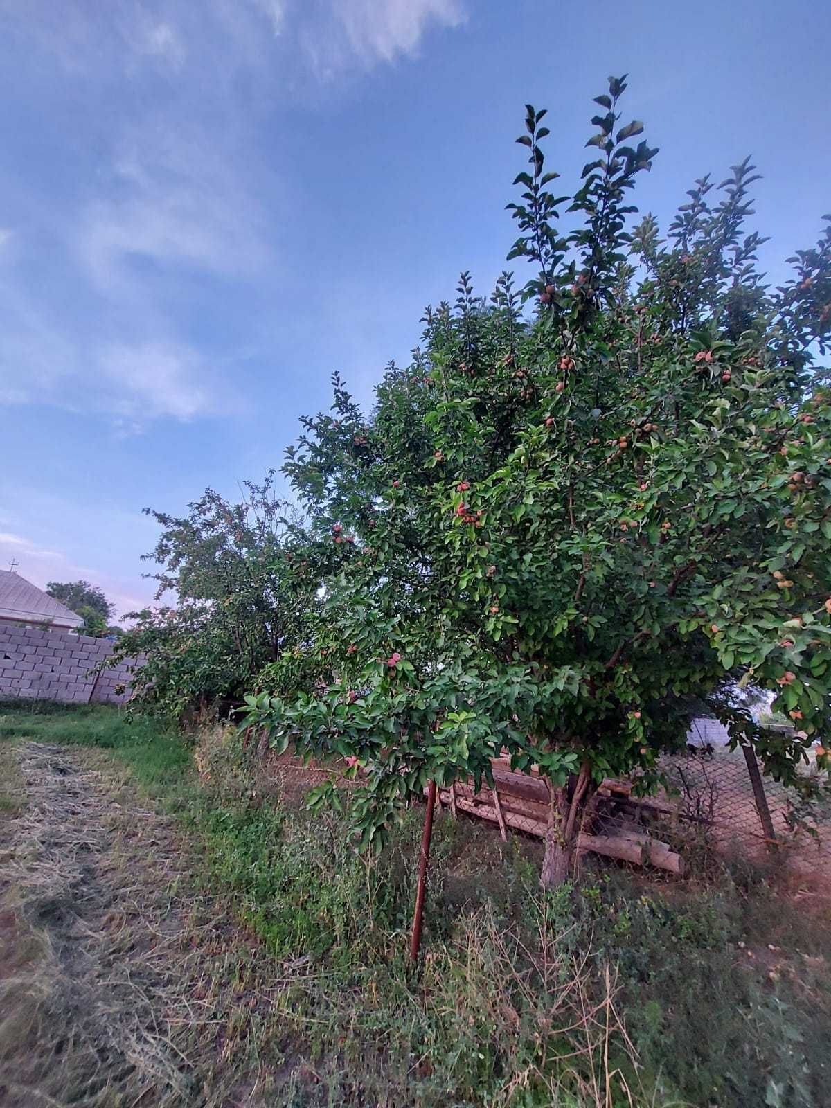 Продам дом · 6 комнат · 260 м² · 20 сот. в ст. Бадам