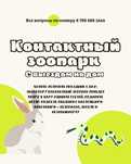 Контактный зоопарк с выездом на дом, животные, совы, змеи, шоу