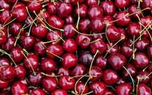 Продам вишню! Есть самосбор, р-н зачеганск