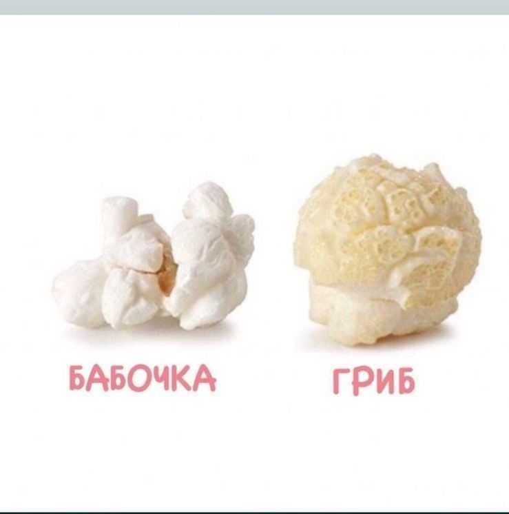 Medium зерно для попкорна, кукуруза, бадырак, попкорн жугериси.