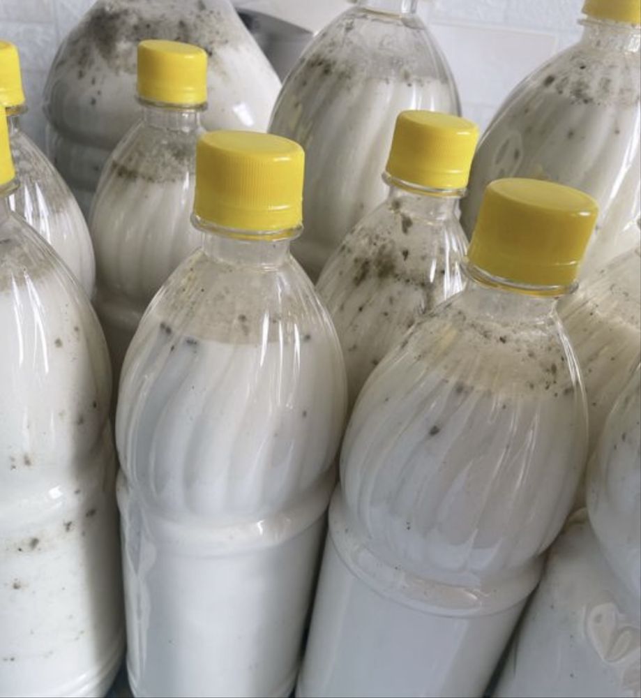 Продам кымыз Баянауыльский.литр 1400 тг