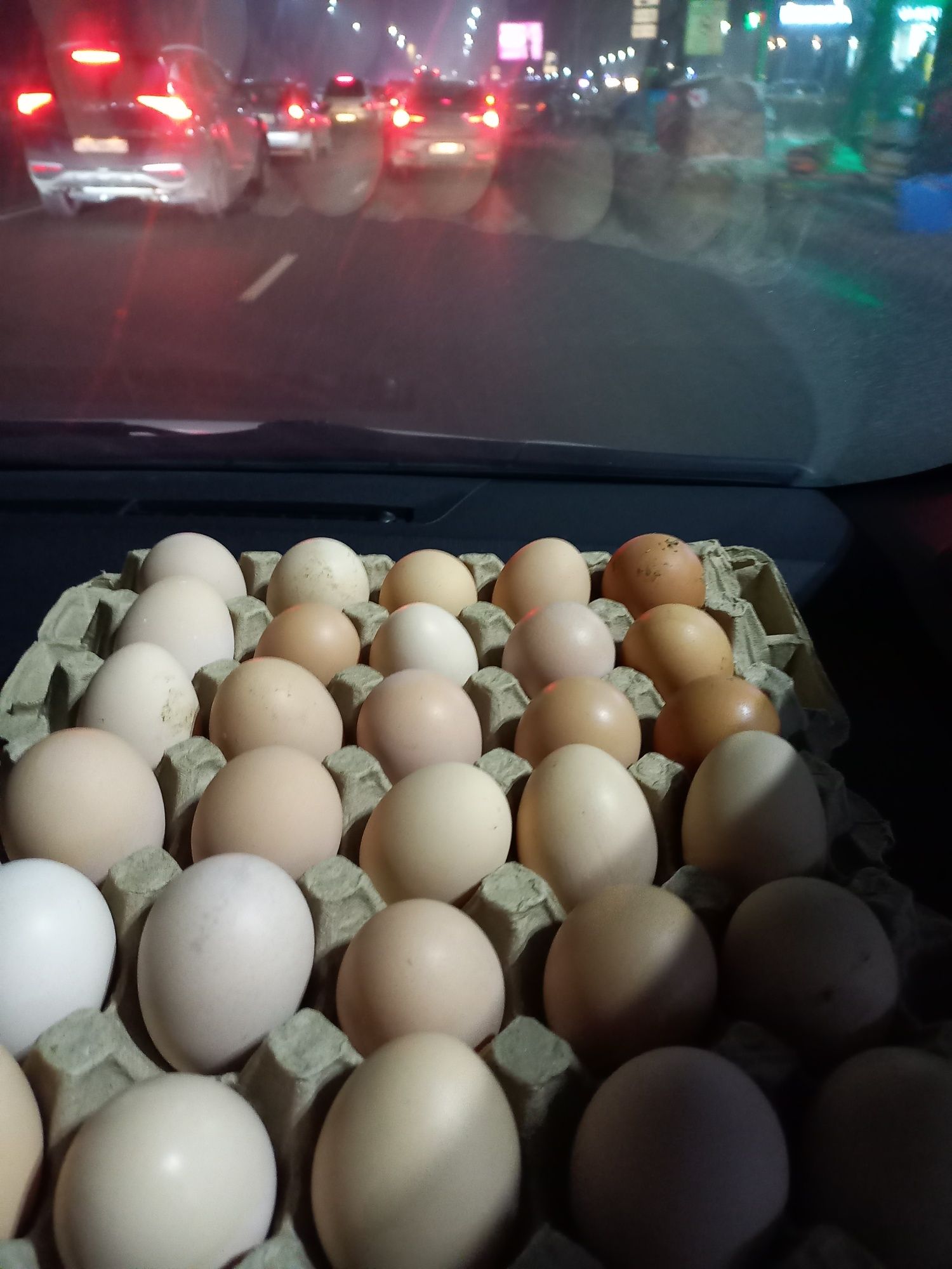Продам яйца чёрных кур