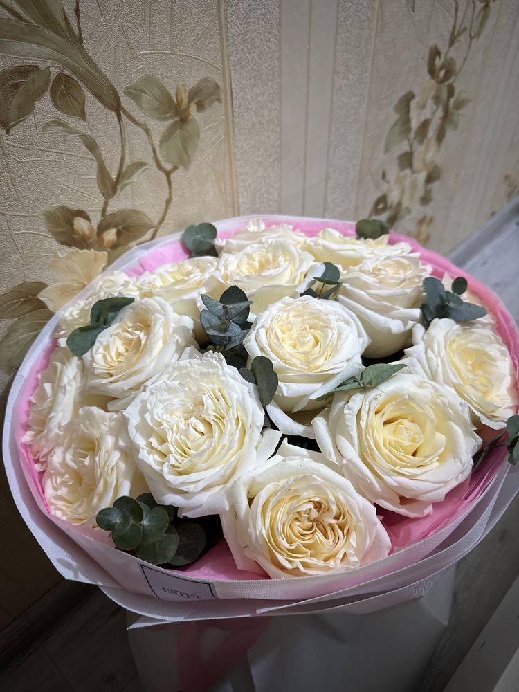 Продам цветы только что купили