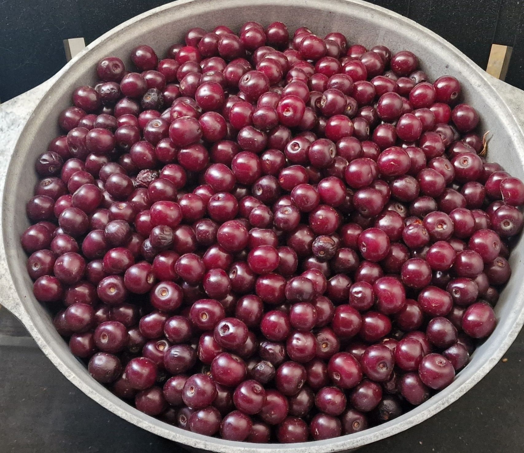 Вишня сладкая спелая