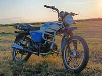 Alpha RX 2023 года