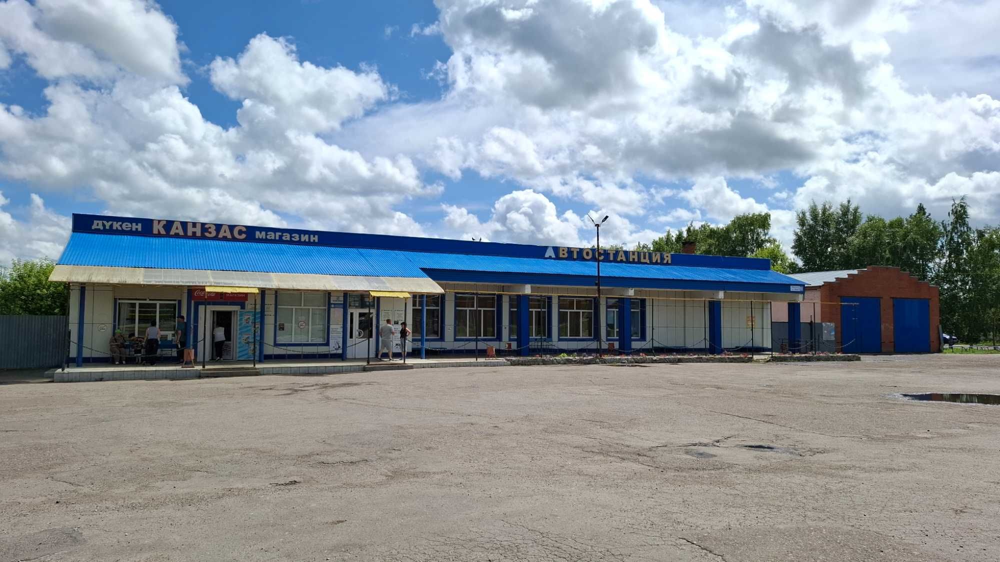 Автостанция, магазин и гараж — коммерческое помещение в Сергеевке