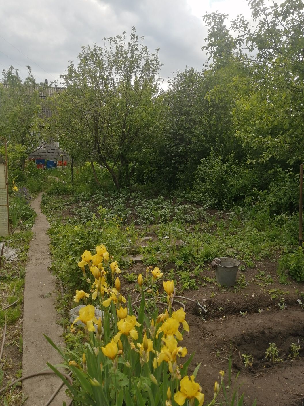 Продам дачу в ермаке на первой беровой линии.