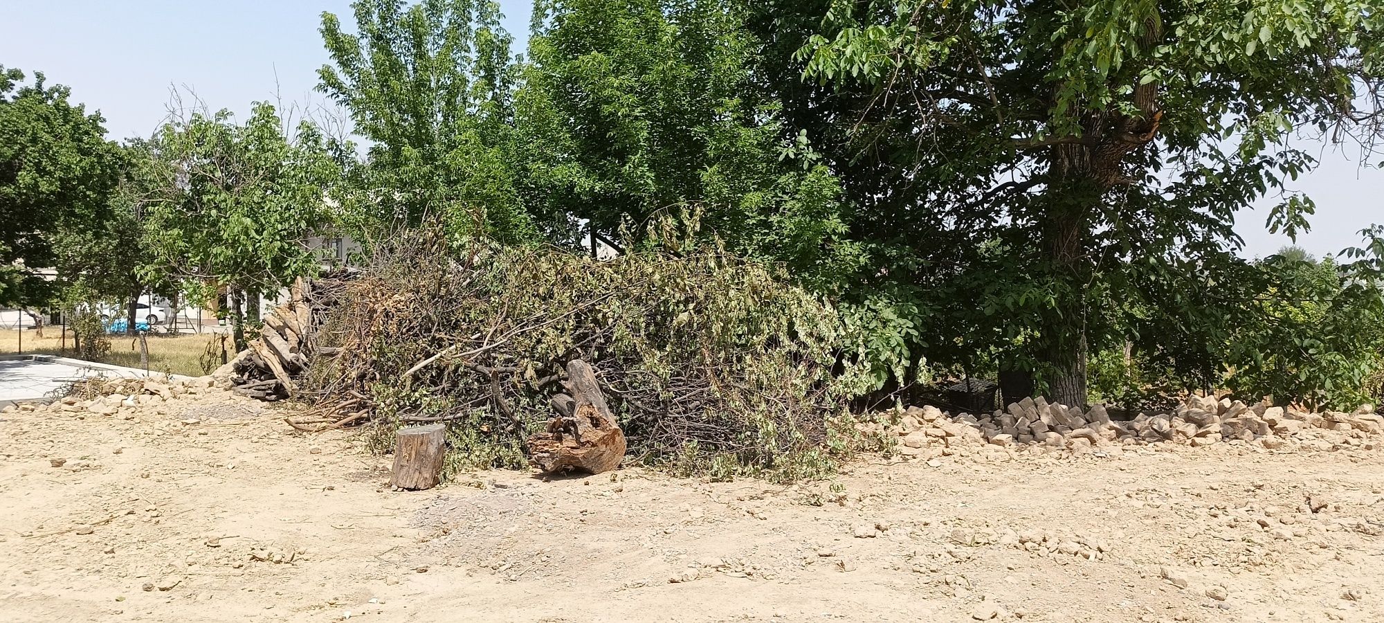 Отын ТЕГІН савхозда