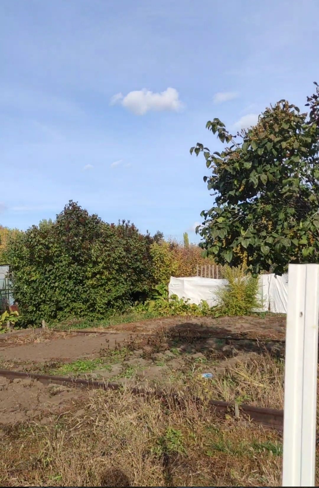 Продам Дачу Сад Здоровье