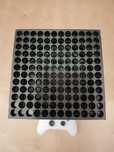 Xbox Series X 1 tb